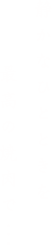 静かなひと時を最高の焼肉で...